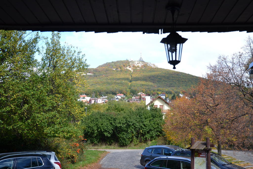 Penzion Artin Nitra Bagian luar foto